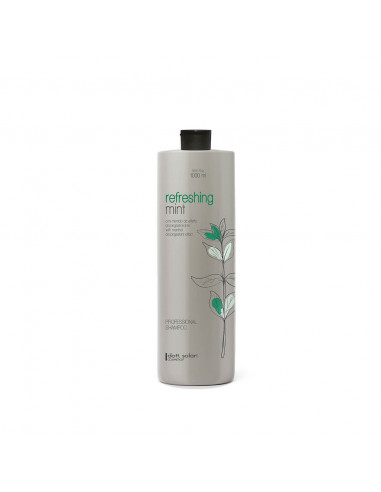 Plaukų Šampūnas Dott. Solari Professional Refreshing Mint 1000ml